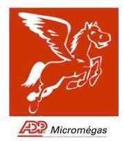 ADP-MICROMEGAS - JLH SERVICES